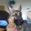 Norman Oswald - @norman.oswald3 - TikTok
