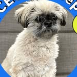 Norman Oswald Jr - @nmgd13 - Instagram