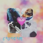 Norman_otto_myles123 - @norman_otto_myles_cookie23 - Instagram