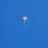Norman Parham - @normanparham94061 - TikTok