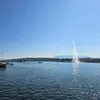 Norman Park - @norman.park - TikTok