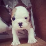 Norman Patton - @lexdubyatreasure - Instagram