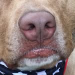Norman Patton - @norman_patton - Instagram