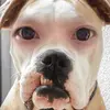 Norman - @norman9407 - TikTok