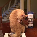 Norman - @norman.pepper - Instagram