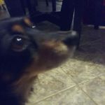 norman pepper - @normanpepper - Instagram