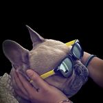 Norman Perez-Lanfur - @e_norm_ous_ - Instagram