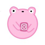 @norman_the_pink_frog - Instagram