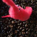 Norman van Pink - @normanvanpink - Instagram