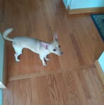 Norman Porterfield - Facebook