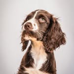 Norman Pringle - @professor_norman_pringle - Instagram