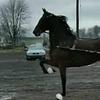 normanraber71 - @normanraber71 - TikTok