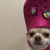 Funny.usa - @rainenorman96 - TikTok