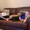 Norman Rees476 - @normanrees476 - TikTok