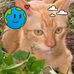 Norman Reyes - Facebook