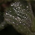 Norman Fritzsch - @norman_fritzsch_phtgrphx - Instagram