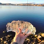 Norman Roark - @roark.norman - Instagram