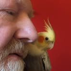 Norman Robinson - Facebook