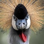 Norman Robinson - @a_photographer_called_norm - Instagram
