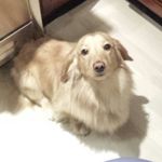 Norman Rock Bell - @norman_rock_bell - Instagram