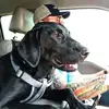 Norman Rosco Lawrence - @norman.rosco.lawr - TikTok