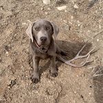 Ryder Norman - @ryder.norman - Instagram
