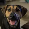 Norman/Sammie - @normansammie - TikTok