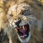 norman scarbrough iii - @iiinormanscarbrough - Instagram