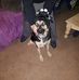 Norman Schroeder - Facebook