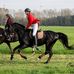 Norman Schroeder - Facebook
