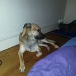 Norman Schulz - @normanschulz187 - Instagram