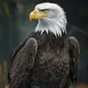 N.S - @norman.schulze - TikTok