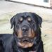 Norman Searles - Facebook