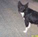 Norman Sharples - Facebook