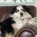 Norman Sheppard - Facebook