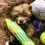 norman silver - @the.norman.silver - Instagram