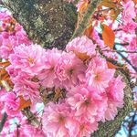 normansimmonds - @mrmills2009 - Instagram