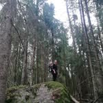 johan - @normansiskogen - Instagram