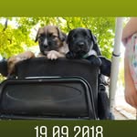 Norman Sisko - @siskonorman - Instagram