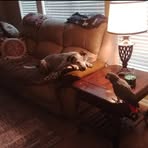 Norman Southern - Facebook