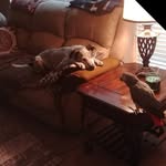 Norman Southern - @southernnorman - Instagram