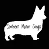 Southern Manor Corgis - @southern_manor_corgis - TikTok