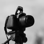Norman Steinbach - @steinbach_pictures - Instagram