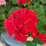 Norman Sutton - @norman.sutton.5 - Instagram