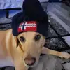 normanallanswift - @normanallanswift - TikTok