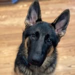 Norman Tanner - @keith1stcci - Instagram