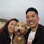 Norman Tran - @normantran90 - Instagram
