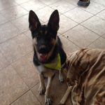 Norman Tran - @thunderseadragon - Instagram