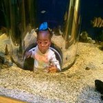 @normantrimble - Instagram