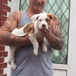 Norman Vickers - @vickers.norman - Instagram